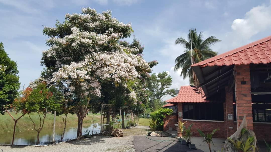 Homestay Umbai Kelana Merlimau 외부 사진