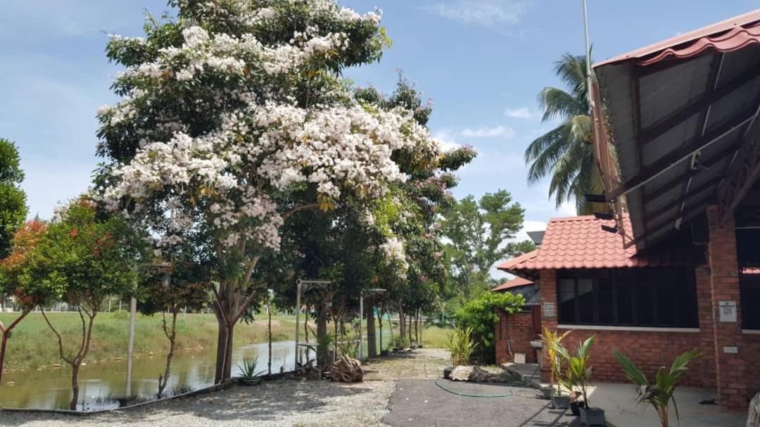 Homestay Umbai Kelana Merlimau 외부 사진